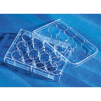 Microplaca 12 pocillos transparente, estéril, 50 Uds., envase individual