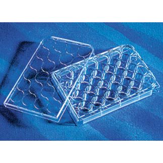 Microplaca 24 pocillos con tratamiento TC, transparente, estéril, 50 Uds., envase individual
