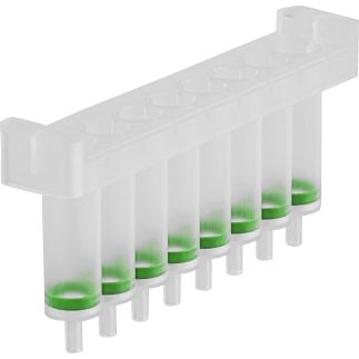 Kit de extracción de ADN genómico de tejido y células NucleoSpin 8 Tissue, formato de tiras, 12 tiras de 8