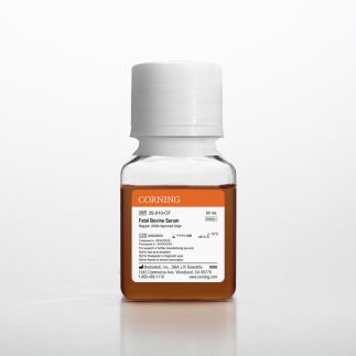 Corning® Fetal Bovine Serum, 50 mL, Regular, USDA Approved Origin