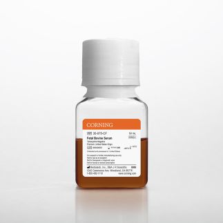 Fetal Bovine Serum, United States Origin, Tetracycline Negative, 50 mL