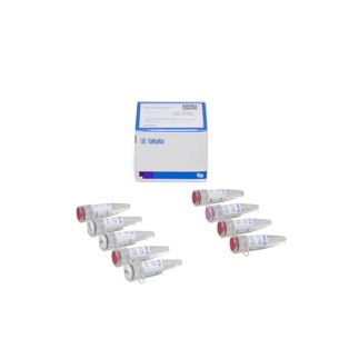 Terra PCR Direct Polymrse Mix; 200 rxns