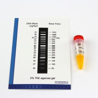 Marcador de peso molecular de ADN de 50bp, 1 tubo
