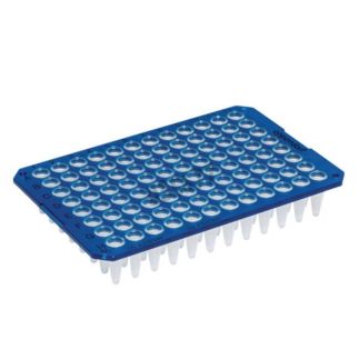 PLACA PCR TWIN TEC 96 POCILLOS 250 µL SIN FALDÓN COLOR AZUL EPPE