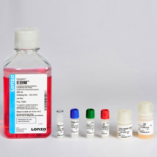 SFM - Medio especial células endoteliales EGM BulletKit, contiene medio basal y suplementos, 1 kit