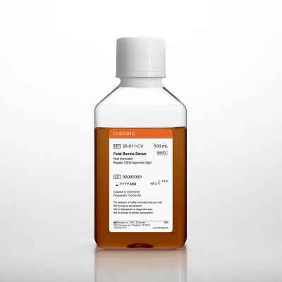 Corning® Fetal Bovine Serum, 500 mL, Regular, USDA approved Origin (Heat Inactivated)
