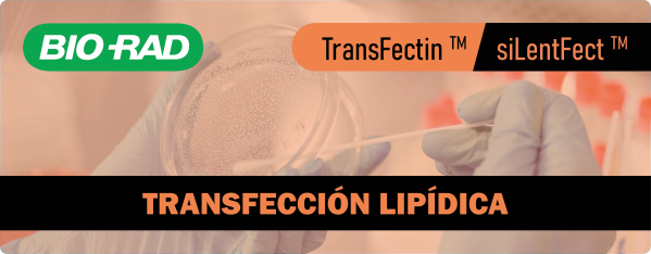 Bio-Rad: Transfección Lipídica