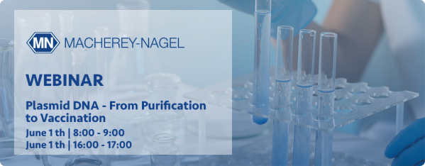 Plasmid DNA - From Purification to Vaccination